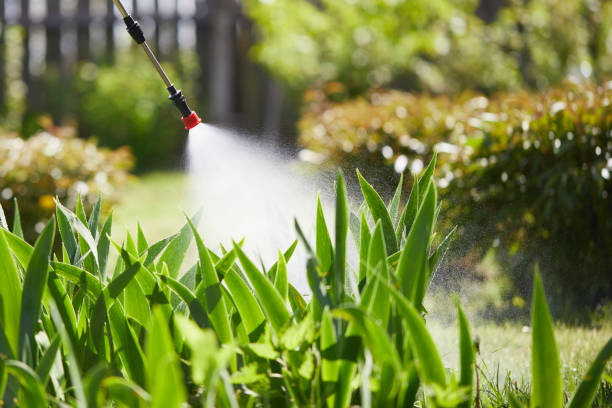 Tamper-Resistant Bait Stations for Rodents in Etna
