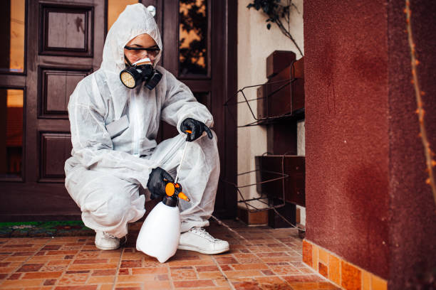 Attic and Crawl Space Rodent Treatment in Etna
