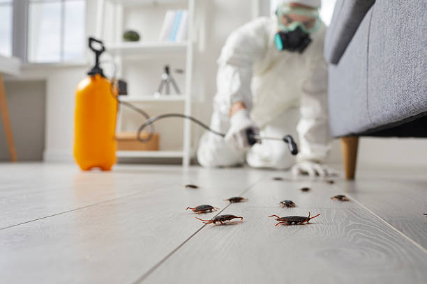 Commercial Rodent Management in Etna